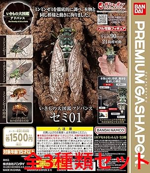 いきもの大図鑑アドバンス　フィギュア　セット Amazon.co.jp: いきもの大図鑑アドバンス セミ01 蝉 昆虫 可動